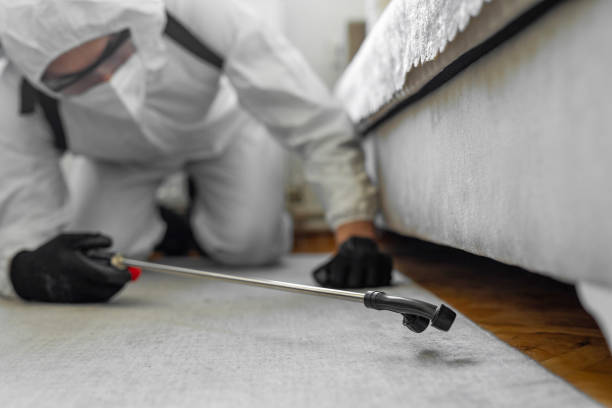 Professional Pest Control technician working in Yuma, CO
