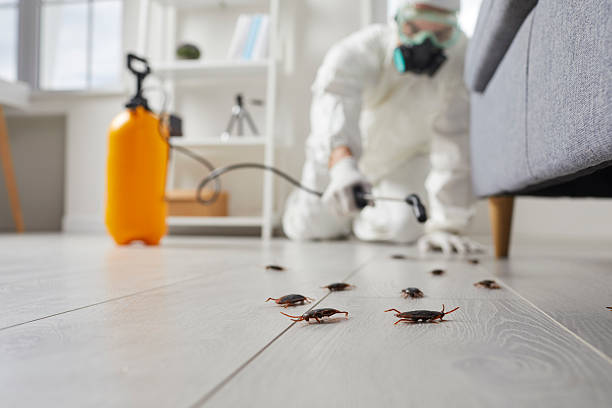 Affordable Pest Control solutions in Yuma, CO